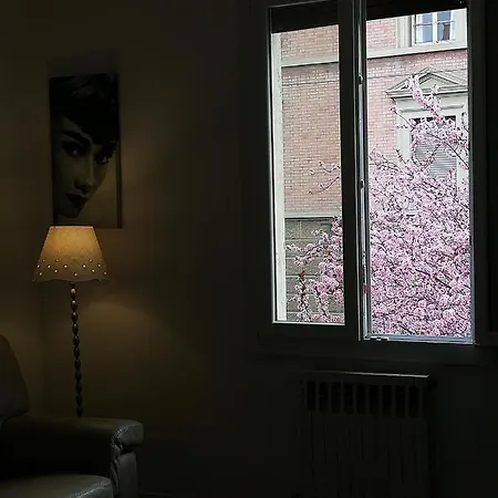 Appartamento: Tranquillita O Divertimento Apartament *
